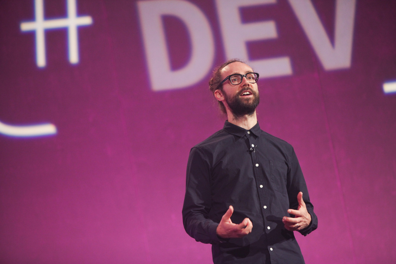 The Lead Developer